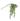 21" Soft Touch Donkey Tail Pick - Green - Ruffled Feather