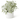 13" Lambs Ear in White Ribbed Ceramic Pot - Ruffled Feather
