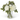 16" Cream Peony &amp; Eucalyptus in Vase w/ Faux Water - Ruffled Feather
