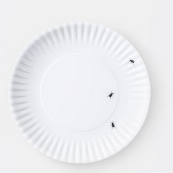 Washable "Paper" Plate w/Ants, Melamine 4pk