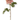 20" Coral Real Touch Duchess Rose Stem - Ruffled Feather