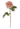 20" Coral Real Touch Duchess Rose Stem - Ruffled Feather