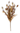 24" Burgundy/Green Sleepy Silene Eva Bush - Ruffled Feather