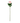 24" Pink Real Touch Austin Rose Stem - Ruffled Feather