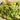 Holy Guacamole Dip Mix
