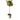 Thyme Potted Topiary