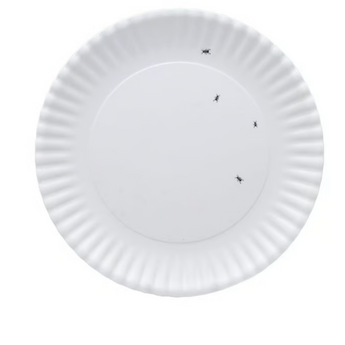 Washable Melamine "Paper" Plate w/Ants Platter w/Ants 16"