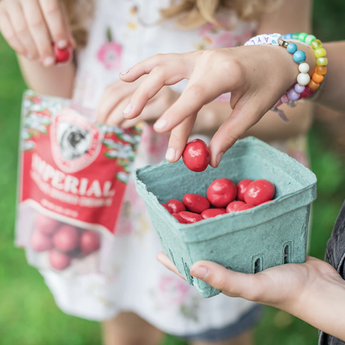 Cherry Republic- Imperial Chocolate Covered Cherries 8oz