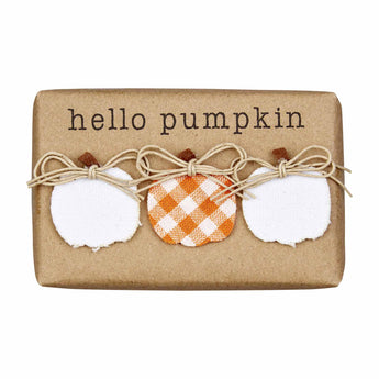 CLEARANCE Hello Pumpkin Hand Soap - Ruffled Feather