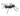 CLEARANCE - Speckled Metal Ant Art - Ruffled Feather