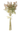 Eucalyptus Bundle - Green and Gold - Ruffled Feather