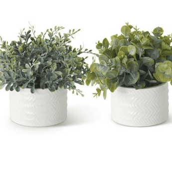 Faux Eucalyptus in White Ceramic Pot - Ruffled Feather