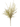 Green Asparagus Foliage w/ Berry Spikes - Ruffled Feather