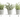 Herb Plant in Cement Pots - Assortment of 3 - Ruffled Feather