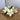 Daffodil Bundle (7 Stems)