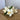 Daffodil Bundle (7 Stems)