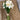 Daffodil Bundle (7 Stems)