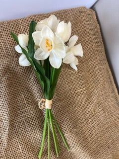 Daffodil Bundle (7 Stems)