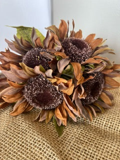 Sunflower Bundle (5 Stems)