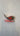 Johannesburg Lewiston Cardinals Keychain - Ruffled Feather