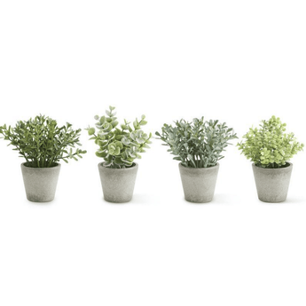 Mini Herbs in Gray Pots - Not a set - Ruffled Feather