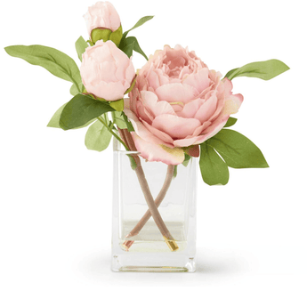 Peonies in Square Glass Pot - Ruffled Feather