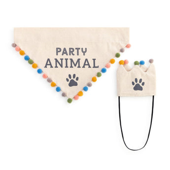 Pet Hat & Bandana Birthday Set - Ruffled Feather