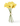 Real Touch Mini Poppy Bundle (6 Stems) - Ruffled Feather