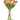 Real Touch Mini Tulip - Orange (12 stems) - Ruffled Feather