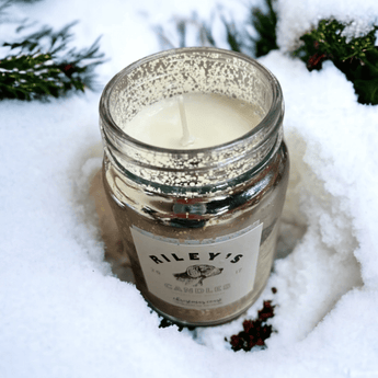 Riley's Candles - Christmas Coast 16oz Candle - Ruffled Feather