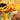 Seven Layer Dip Mix - Ruffled Feather