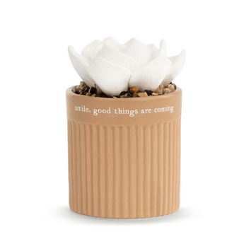 Succulent Oil Diffusers - Ruffled Feather