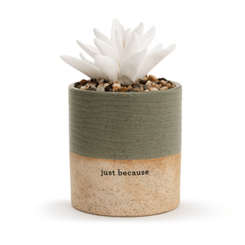 Succulent Oil Diffusers - Ruffled Feather