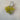 Vanderbilt Yellow Jacket Keychain - Ruffled Feather